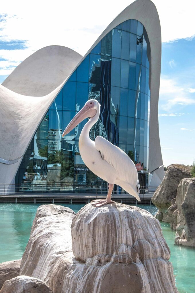 Awarium - Oceanografic Walencja